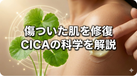 CICA（ツボクサエキス）の葉と、肌にクリームを塗って修復する様子を示す科学的な解説画像。 TITLE: 傷ついた肌を修復する「塗る絆創膏」CICAの科学を解説 FILENAME: cica-skin-repair-science.