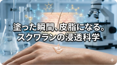 スクワランが皮膚に浸透し皮脂となる科学的メカニズムを解説する図解。手の甲に液体が垂れる様子と分子構造、皮膚断面図。 TITLE: 塗った瞬間、皮脂になる。スクワランの浸透科学を図解 FILENAME: squalane-skin-penetration-science.