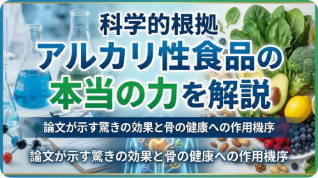 アルカリ性食品の科学的根拠と骨の健康への効果を解説したアイキャッチ画像 TITLE: アルカリ性食品の本当の力と骨の健康への作用機序 FILENAME: alkaline-food-science-bone-health.png