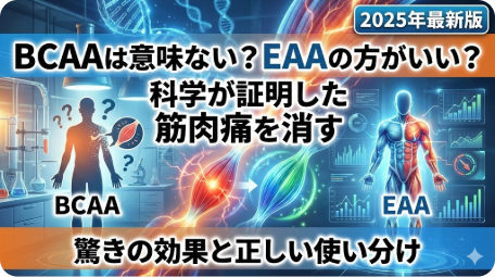 BCAAとEAAのどちらが良いか、科学的根拠に基づき筋肉痛への効果と使い分けを解説する記事のアイキャッチ画像 TITLE: BCAAは意味ない？EAAの方がいい？科学が証明した筋肉痛を消す驚きの効果と正しい使い分け 2025年最新版 FILENAME: bcaa-vs-eaa-muscle-pain-science-2025.png