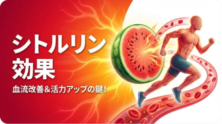 シトルリンの効果：血流改善と活力アップを表現したアイキャッチ画像 TITLE: シトルリンの効果｜血流改善＆活力アップの鍵 FILENAME: citrulline-benefits-blood-flow.
