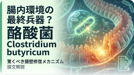 腸内環境を改善する酪酸菌Clostridium butyricumの科学的解説と腸壁修復メカニズム TITLE: 酪酸菌Clostridium butyricumと腸壁修復メカニズムの論文解説 FILENAME: clostridium-butyricum-gut-repair.