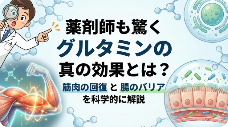 薬剤師も驚くグルタミンの真の効果：筋肉の回復と腸のバリアを科学的に解説 TITLE: 薬剤師も驚くグルタミンの真の効果とは？ FILENAME: glutamine-muscle-recovery-gut-barrier.png