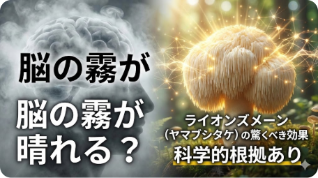 脳の霧が晴れるイメージと光り輝くライオンズメーン（ヤマブシタケ） TITLE: 脳の霧が晴れる？ライオンズメーンの驚くべき効果と科学的根拠 FILENAME: lions-mane-brain-fog.png