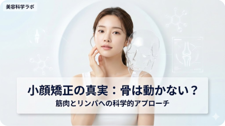 小顔矯正で骨は本当に動くのか？骨格の構造と施術による変化の仕組みを、科学的根拠に基づいて解説するイメージ図。 TITLE: 小顔矯正の真実：骨は本当に動くのか？科学的視点で検証 FILENAME: kogao-correction-bone-truth.png